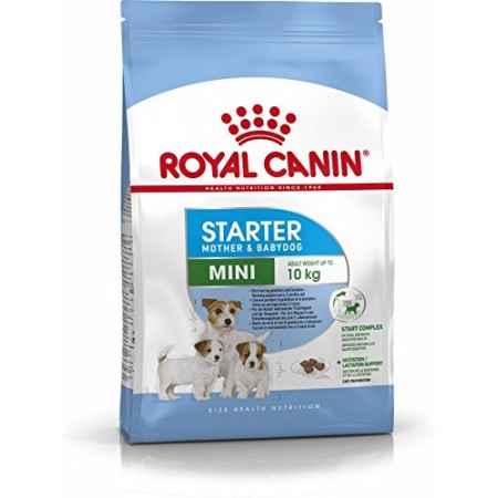 Royal Canin Mini Starter sausas maistas šunims