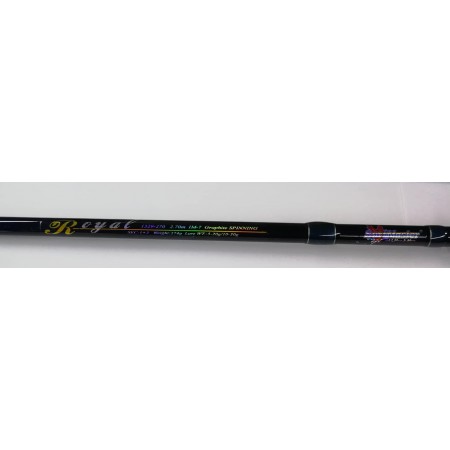 Spiningas Surf Master Royal sekc.1+2 2.70m 5-20g/10-30g