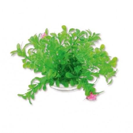 Dirbtinis augalas 10cm