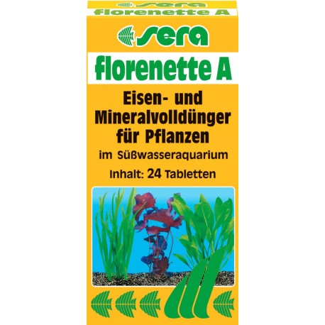 SERA FLORENETTE A ŠAKNINIŲ AUGALŲ TRĄŠOS
