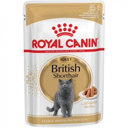 Koncervai Katėms Royal Canin British Shorthair WET